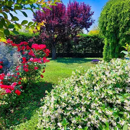 Il Casale 3*